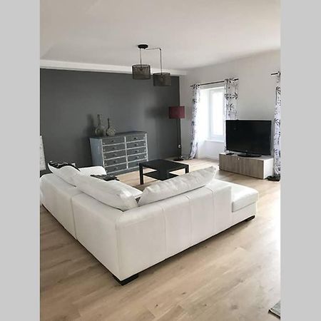 Annonay Centre, Grand Appartement Cosy, 3 Chambres Exteriér fotografie