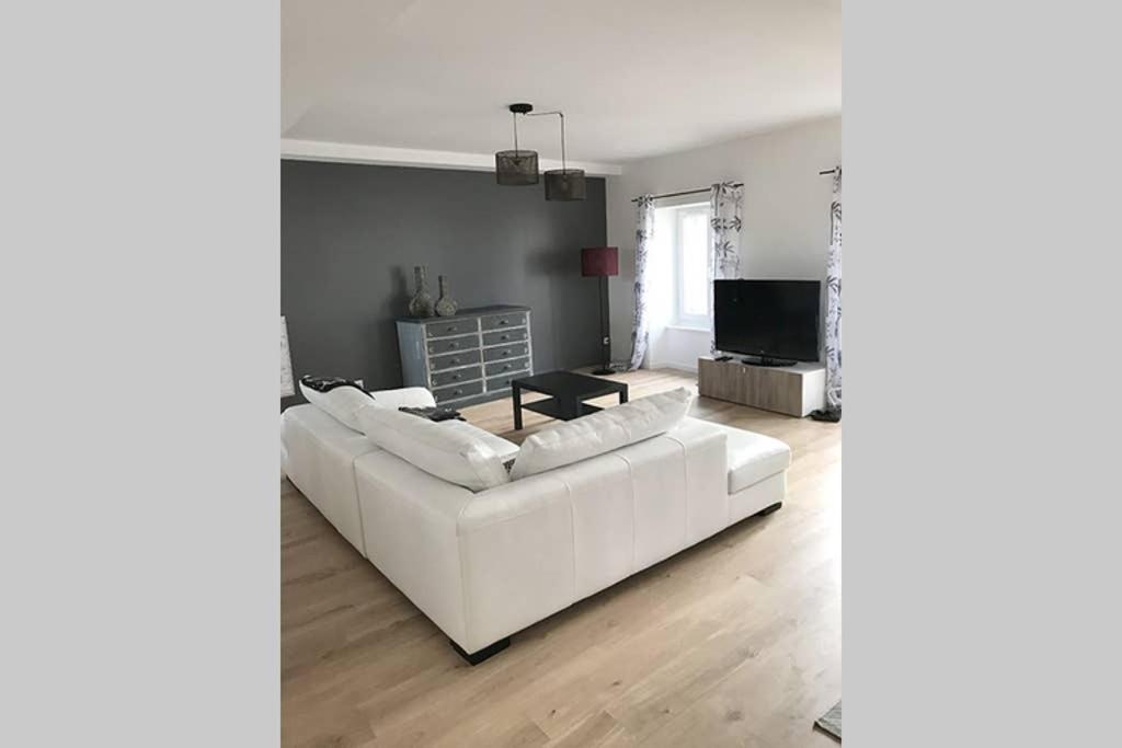 Annonay Centre, Grand Appartement Cosy, 3 Chambres Exteriér fotografie